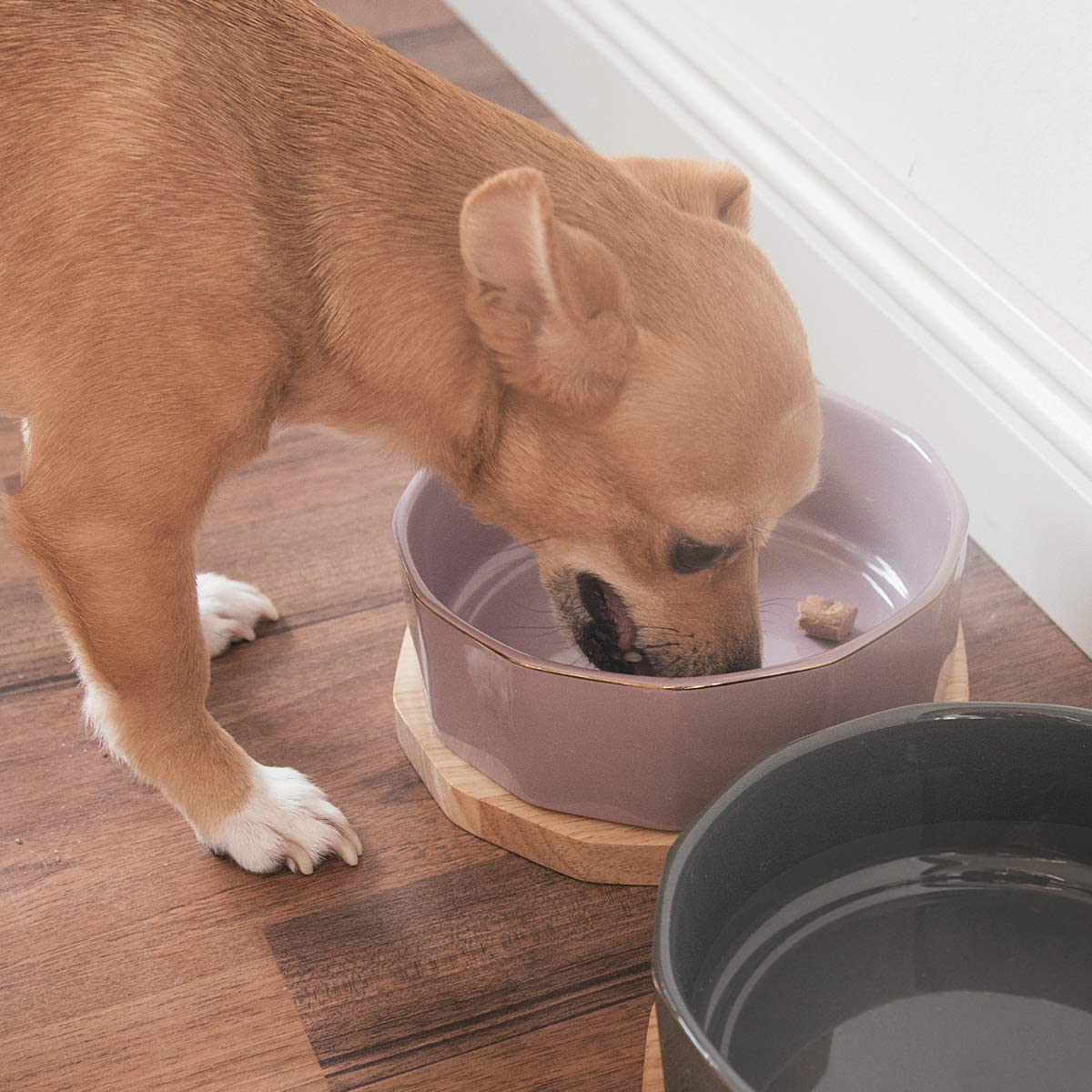 Navaris Ceramic Dog Bowls with Wood Underlay - Σετ με 2 Μπολ Φαγητού και Νερού με Βάση από Ξύλο Βελανιδιάς και Κεραμικό για Κατοικίδια - Violett - 50946.02