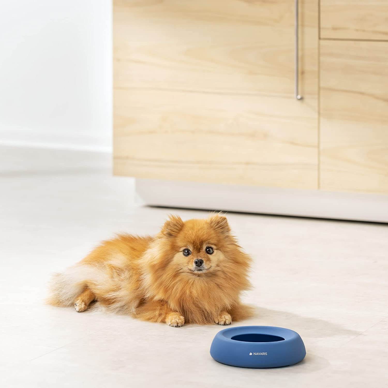 Navaris Μπολ Ταξιδιού για Σκύλους και Γάτες - Blue - 55861.04