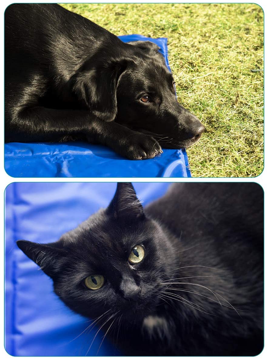 Navaris Pet Cooling Mat - Στρώμα Ψύξης για Κατοικίδια - Blue - 51183.01