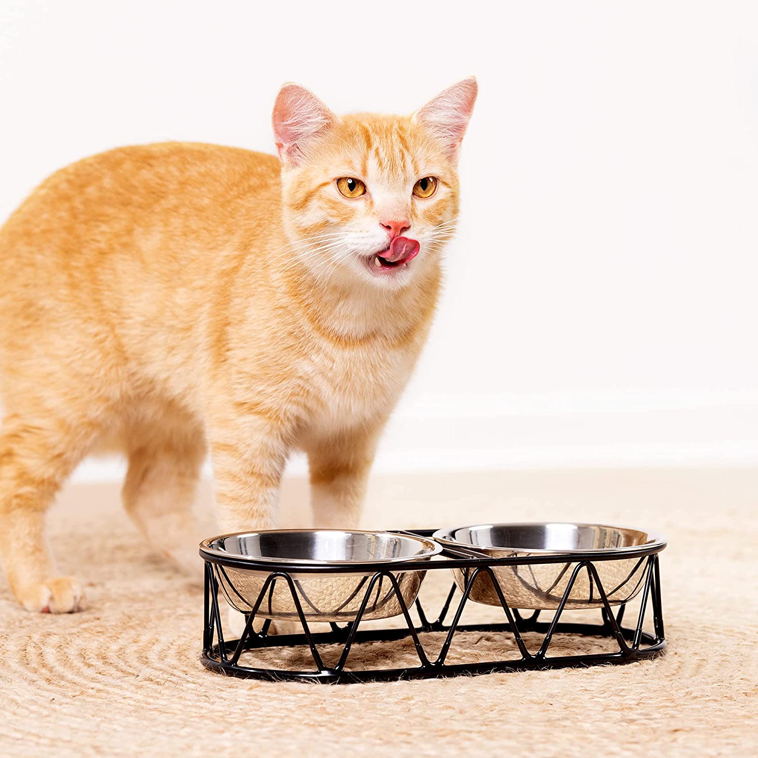 Navaris Pet Bowl - Σετ με 2 Μπολ Φαγητού και Νερού με Μεταλλική Βάση για Κατοικίδια - 54102.01