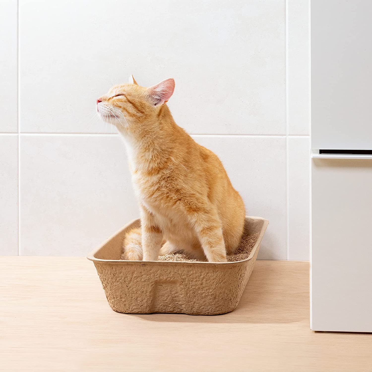 Navaris Cat Toilet Box Paper Bowl - Δίσκος Απορριμμάτων για Γάτες - 5 Τεμάχια - Brown - 54043.05