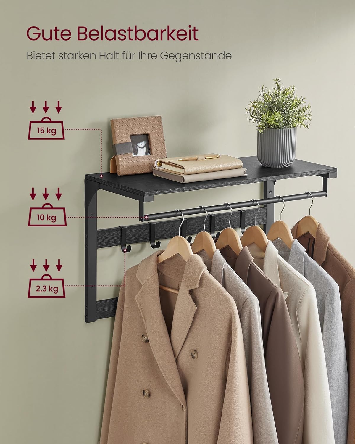 Vasagle Επιτοίχια Κρεμάστρα με 10 Αφαιρούμενους Γάντζους - 30 x 65 x 42 cm - Anthracite Grey / Black - LCR101B04