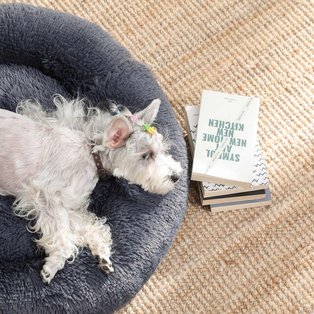 Feandrea Κρεβάτι Σκύλου / Γάτας - 60 x 20 cm - Dark Grey - PGW038G02