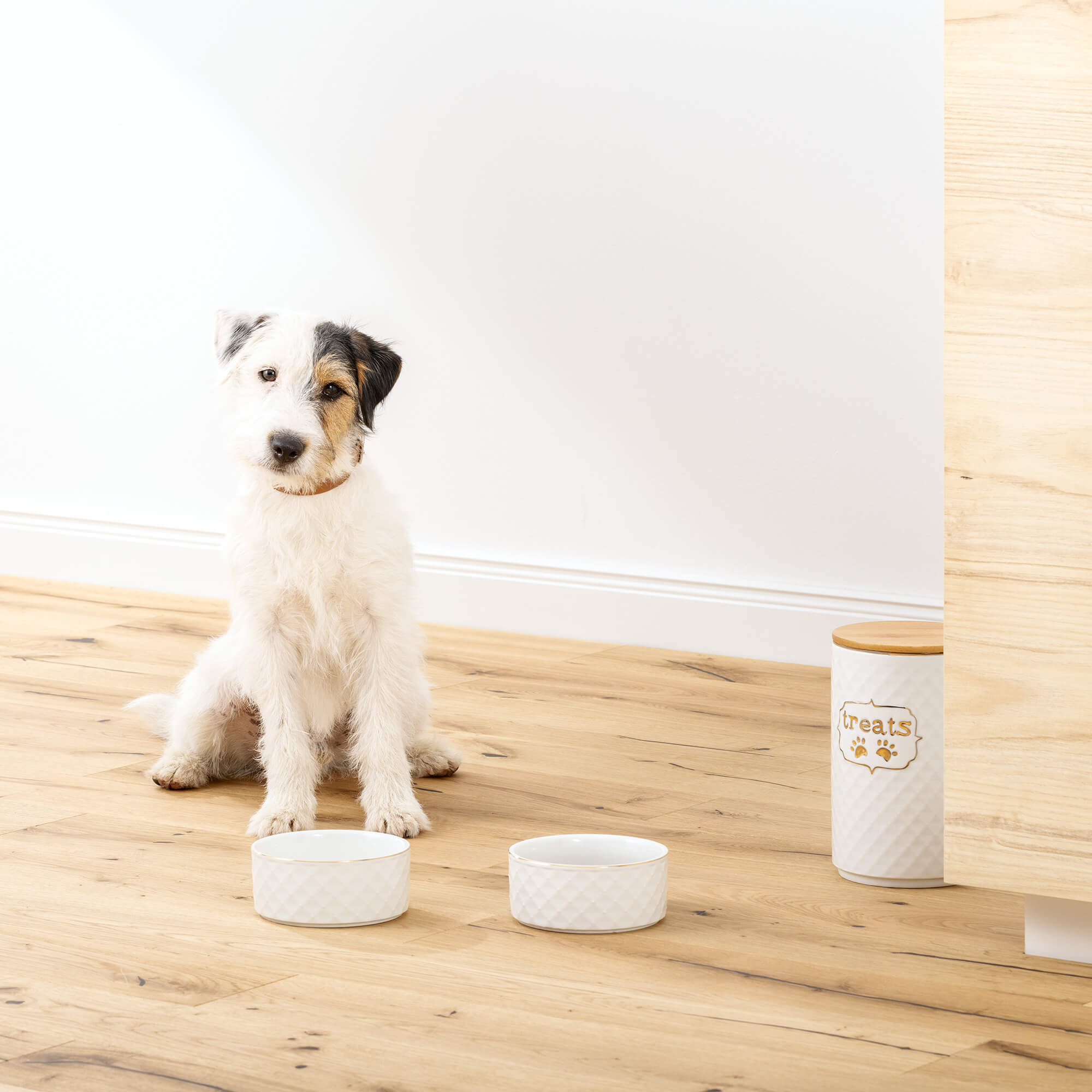 Navaris Σετ με 1 Βάζο Αποθήκευσης και 2 Κεραμικά Μπολ Λιχουδιών για Κατοικίδια - White - 57145.02