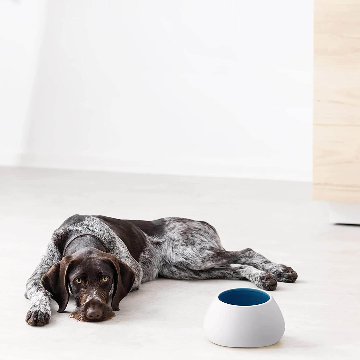 Navaris Κεραμικό Μπολ Φαγητού και Νερού για Κατοικίδια - 1.9L - White / Blue - 56612.04