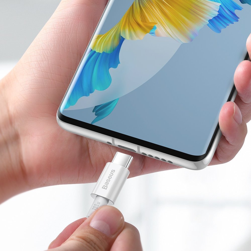 Baseus Superior Cable Type - C 5A PD 100W - Καλώδιο Γρήγορης Φόρτισης Type - C to Type - C 1M - White - CATYS - B02