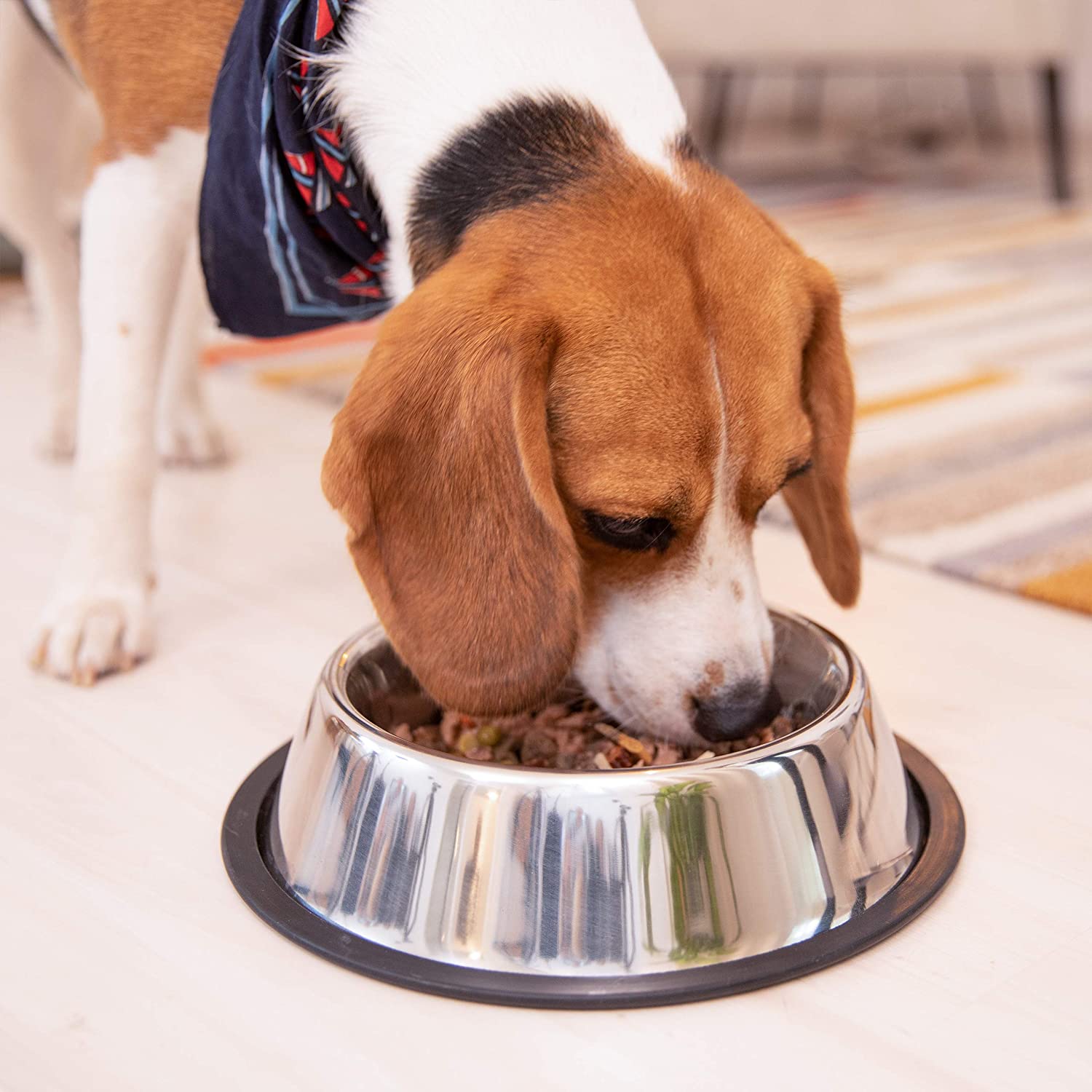 Relaxdays Σετ με 2 Μπολ για Κατοικίδια - 1.25 L - Silver - 4052025947811