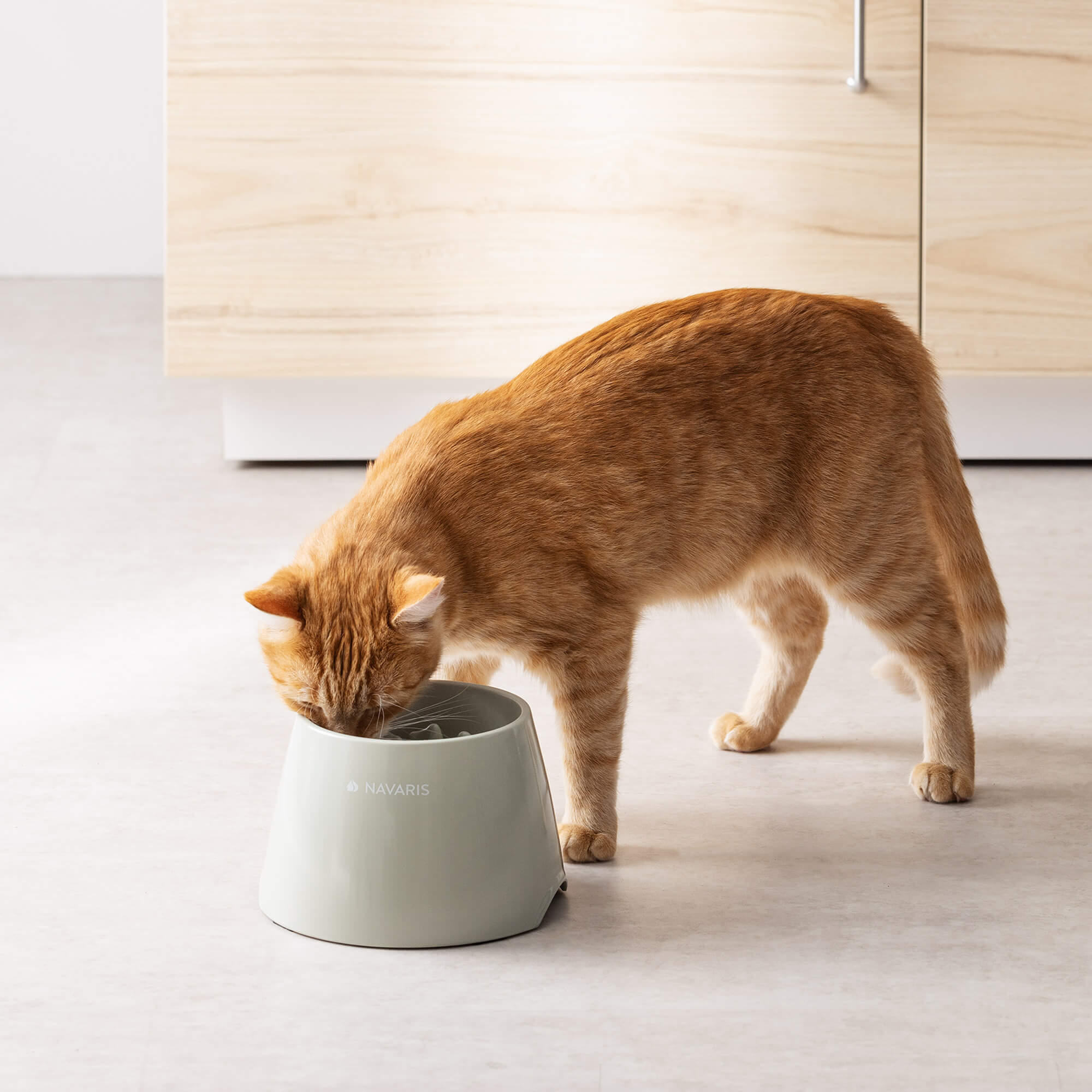 Navaris Ανυψωμένο Μπολ Φαγητού Αργής Κατάποσης 800ml για Κατοικίδια - Light Green - 55456.07