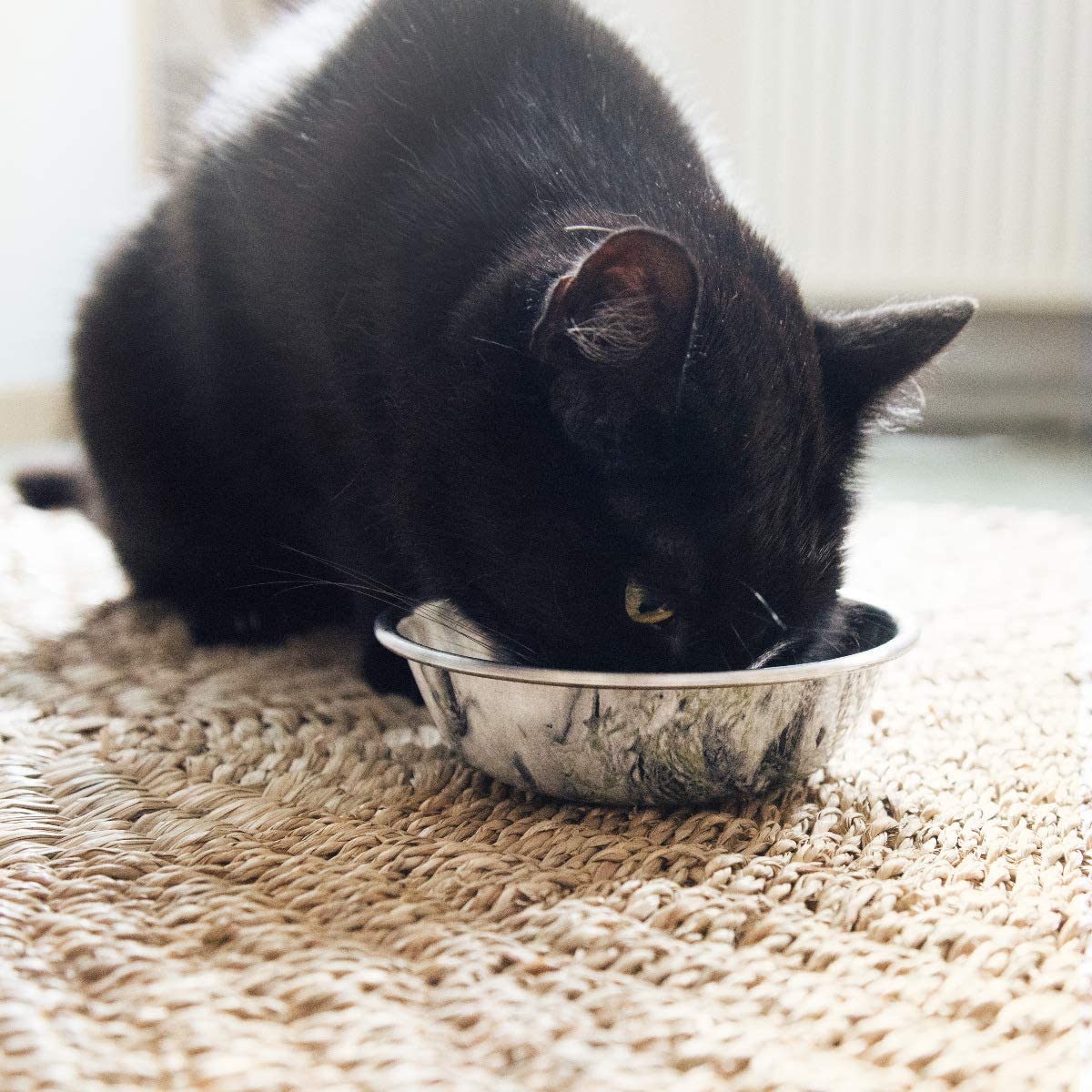 Navaris Ανοξείδωτo Μπολ Φαγητού για Γάτες και Σκύλους - Design Marble - 350 ml - Silver - 46948.1