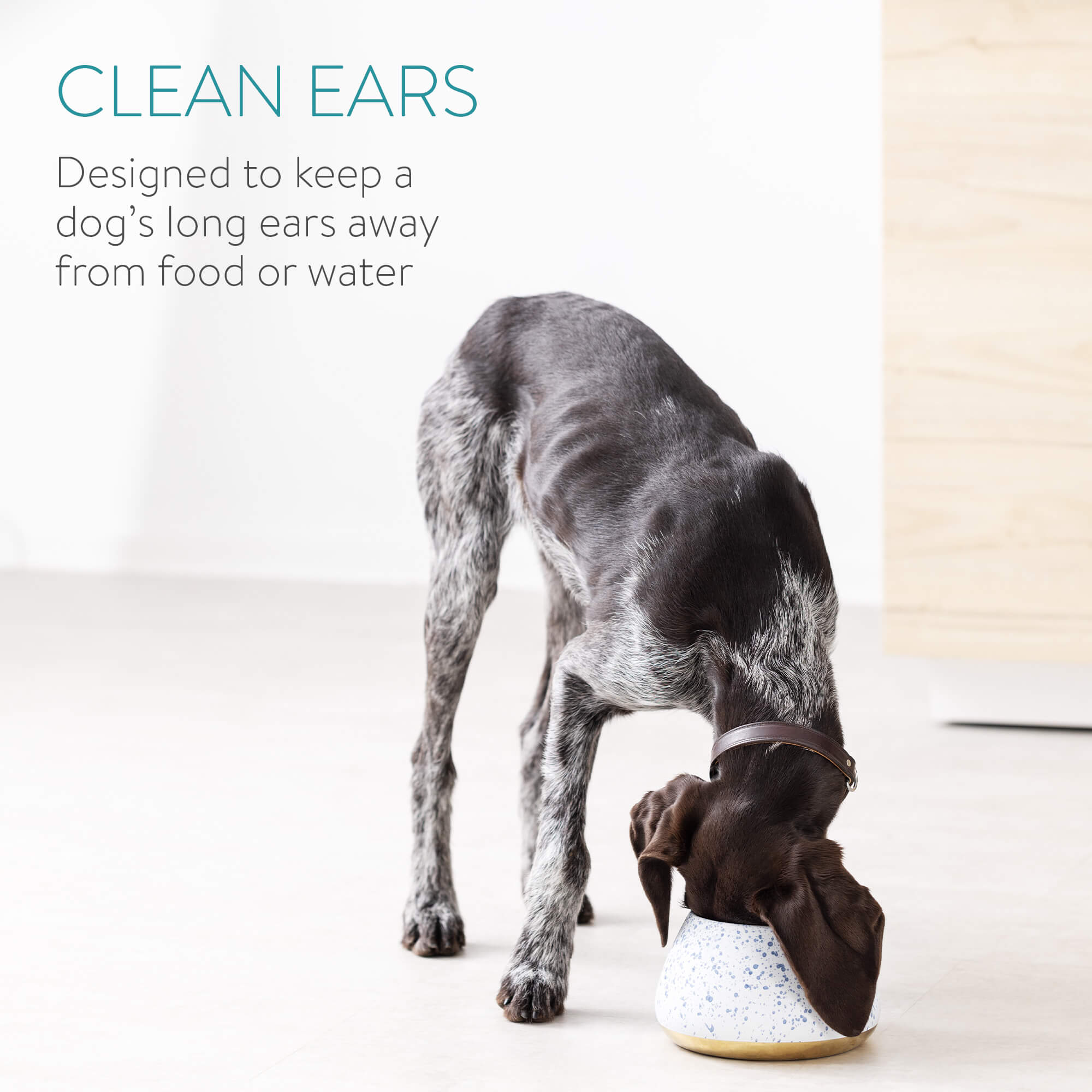 Navaris Μπολ Φαγητού και Νερού για Κατοικίδια - 1.9L - White / Blue - 56612.02